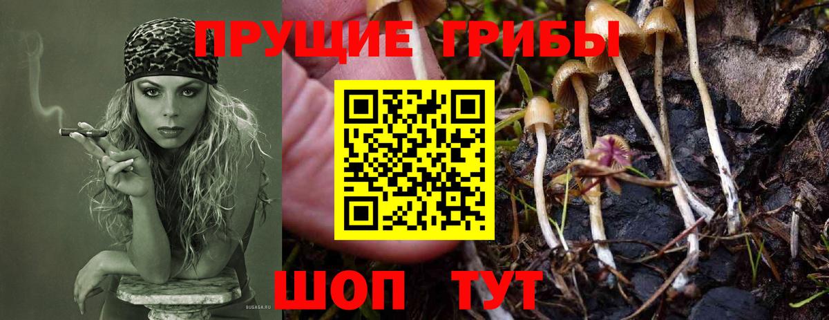 ГАШИШ Кингисепп