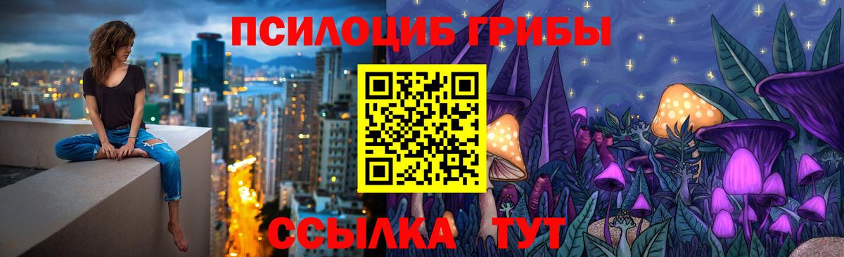 Псилоцибиновые грибы Psilocybe  Галлюциногенные грибы Psilocybe  Вход с VPN  Кингисепп 