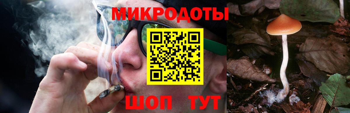 Галлюциногенные грибы ЛСД Кингисепп